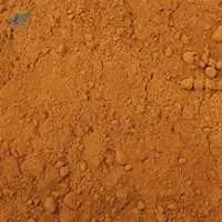 Garam Masala Powder