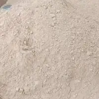 Garlic Powder