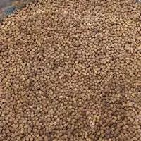 Kala Chana