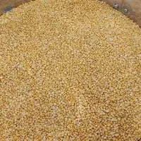 Toor Dal