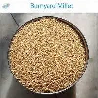 Barn Yard Millet