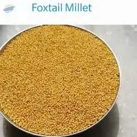 Fox Tail Millet