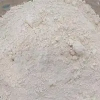 Besan