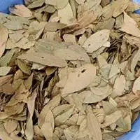 Bay Leaves
