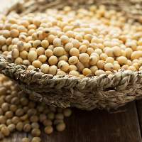 Soybeans