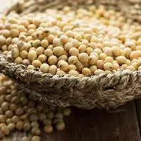 Soybeans
