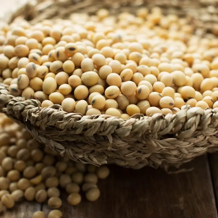 Soybeans