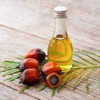 CP8 Palm Oil