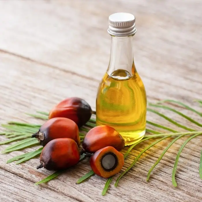 CP8 Palm Oil