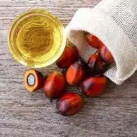 RBD Palm Oil