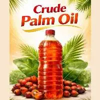 CPO (Crude Palm Oil)