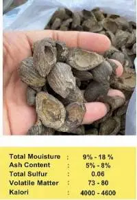 Palm Kernel Shell Screening