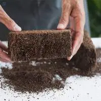 Coco Peat