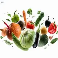 Fresh Vegetables