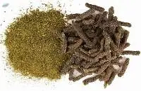 Thippili  [Long Pepper] (Piper longum)