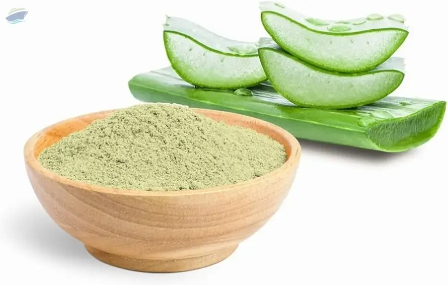 Aloe Vera Aloe (Barbadensis Miller)