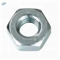 Hex Nut
