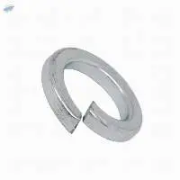 Spring Washer