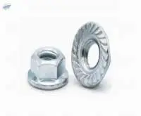 Flange nuts