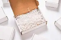 Paper Shred