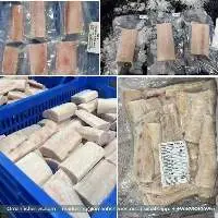 Mahi Mahi