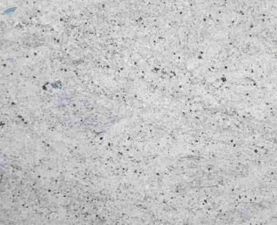 Kashmir White