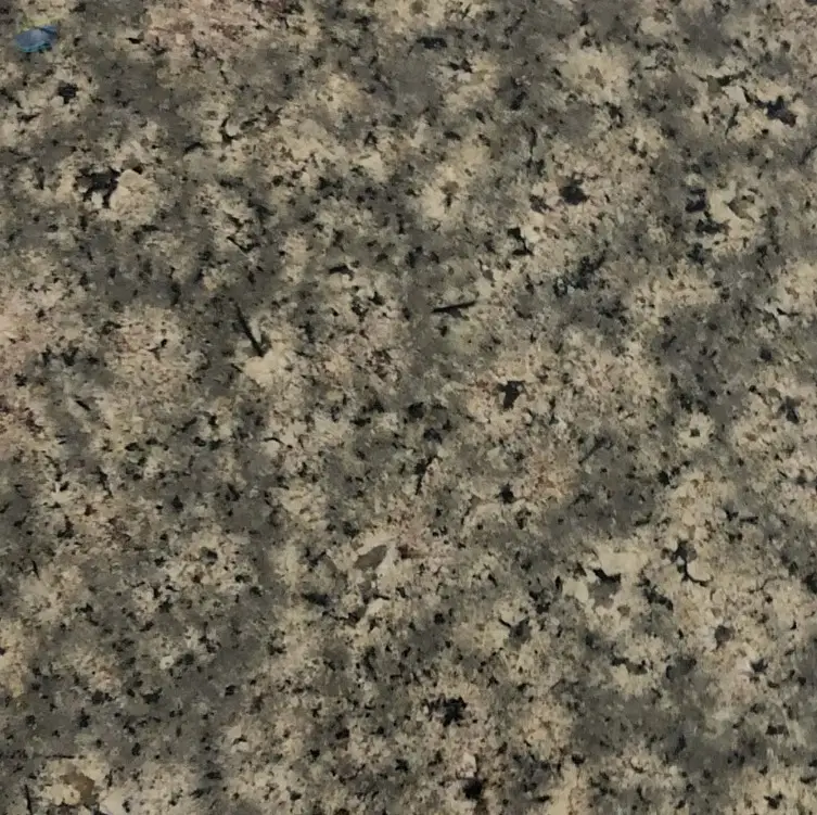 Bala Flower Granite 