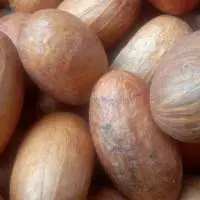 Bitter Kola