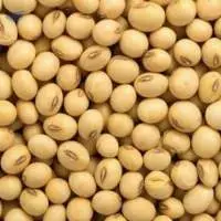 Soybeans