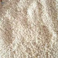 Sesame Seeds