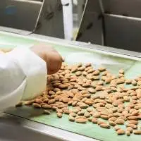 Raw Almonds