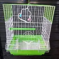 Bird Accessories