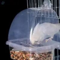 CANARY POT
