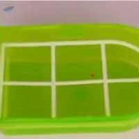 Birds Feeding Pot