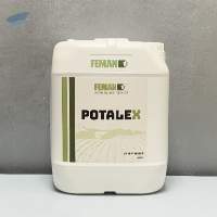 POTALEX