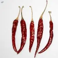 Indian Dried Red Chilli Teja S17