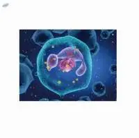 Exosome Therapeutics Quality Control Solution
