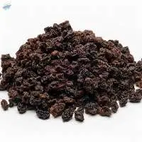 Corinthian Black Currant