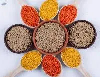 Pulses (Dal)