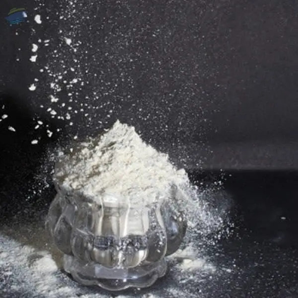 White Onion Powder