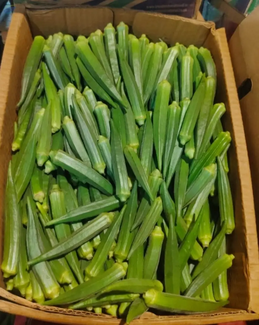 Indian Okra