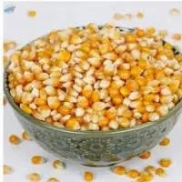 Yellow corn