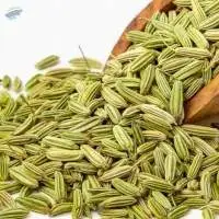 Fennel Seed Europe