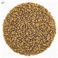 Fenugreek Seed