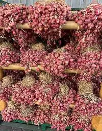 Fresh Brown Onion, Red Onion