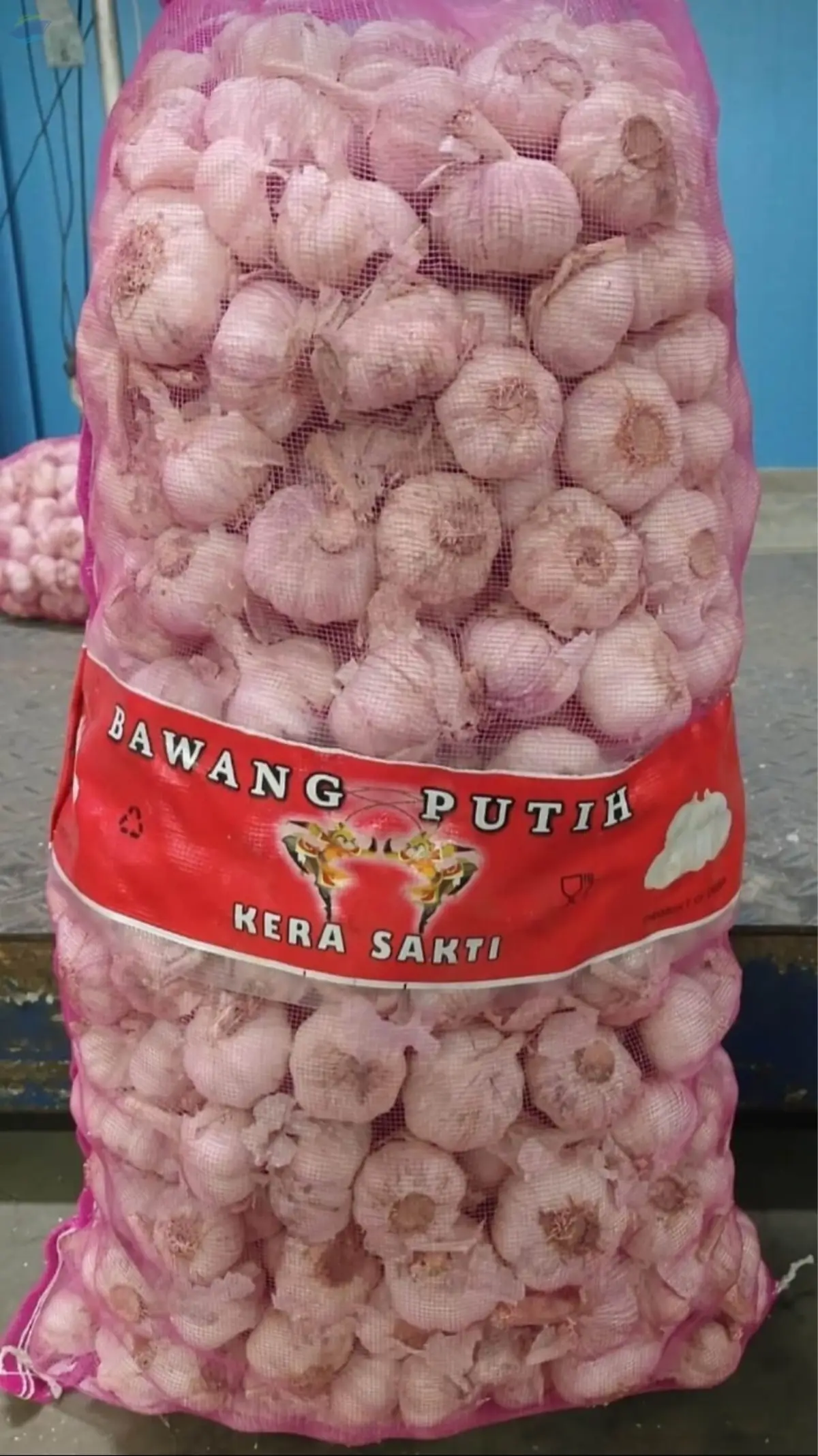 Garlic
