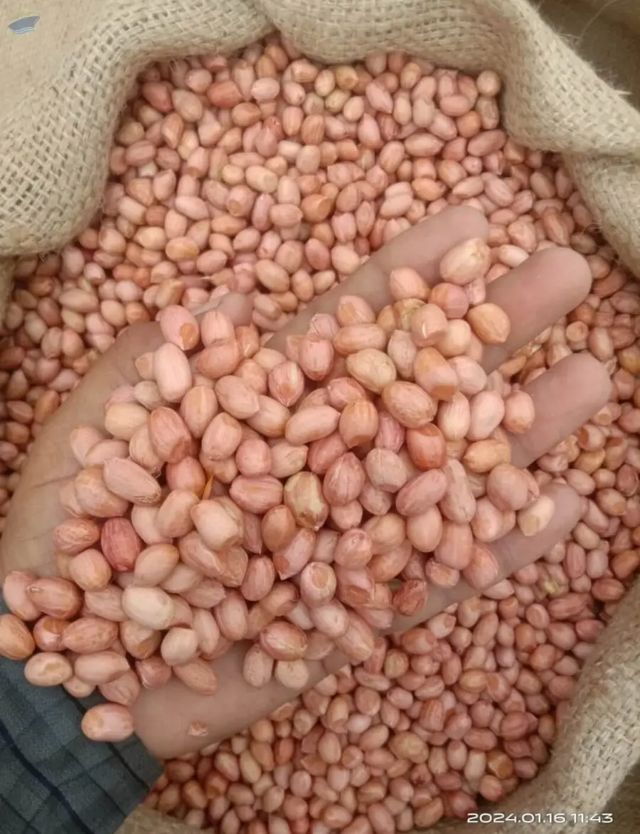 Nuts And Beans