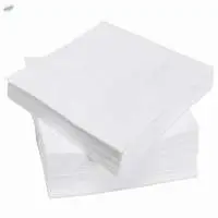 Disposable Non Woven Napkin