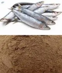 Fish Meal