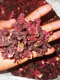 Dried Hibiscus Flower
